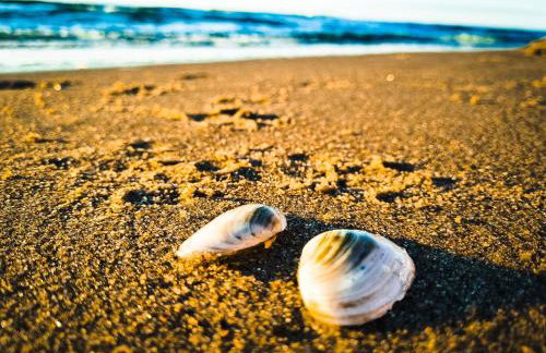 Bałtyk 44 na Wydmach - Foto 3