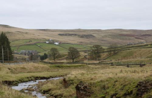 Prospect House - Photo 43