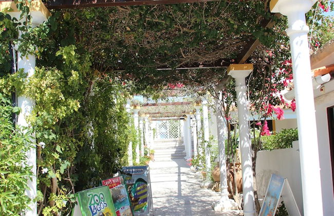 Muthu Balaia Sol - Photo 41