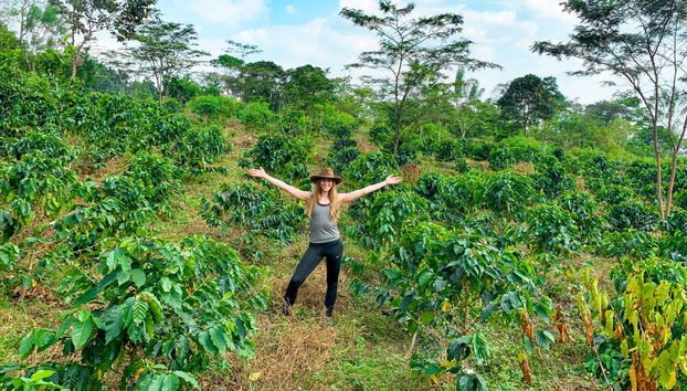 Visiting a Lejanías coffee farm