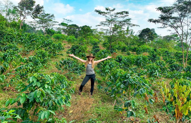Lejanías Coffee Tour - Photo 3