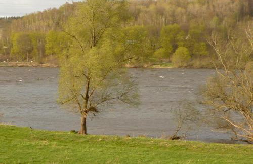 Elbe-Ferien 2 - Foto 31