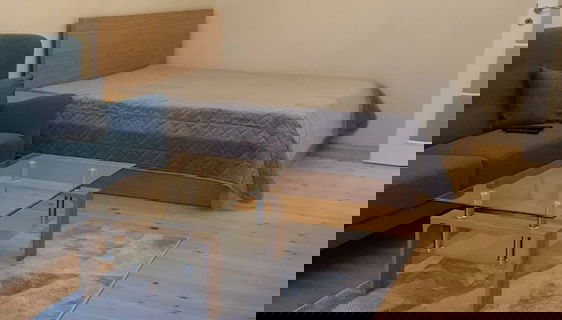 Sunny and Charming Domain for Your Stay in Sofia - Foto 3, Habitación