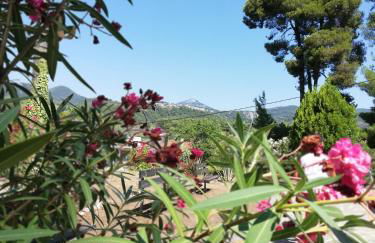 North Evia Kiki's house - Photo 13