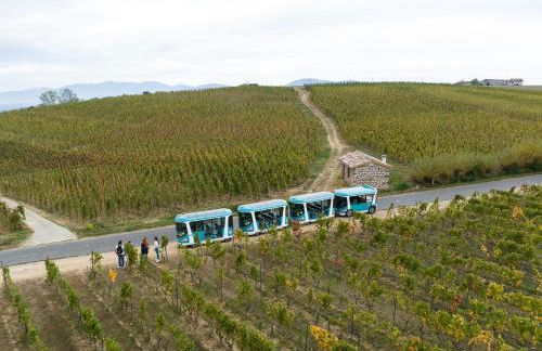 Cosylocation - Cocooning- Vue Théâtre Antique - Foto 9