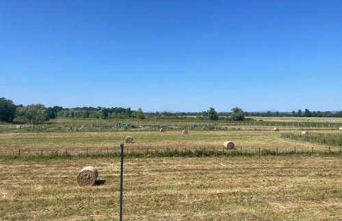 Luna,central,self-check in,AC,WI-FI, washer,free parking - Foto 6