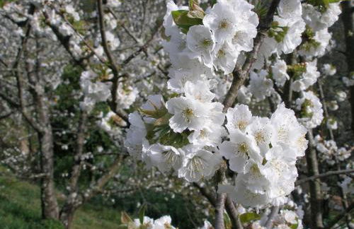 Casa do Moleiro - Foto 48