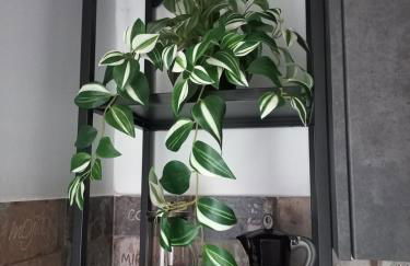 Cà Nastrè - Foto 11