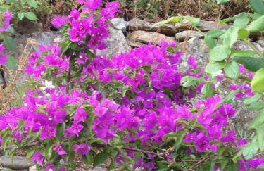 Great stay & beautiful trails - Foto 15