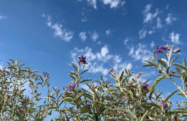 Apartment Roky - Foto 50