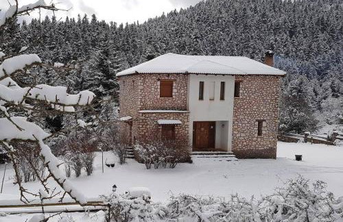 Elati Hills - Photo 6