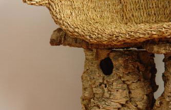 Casa Rural Sierra de las Nieves - Foto 7