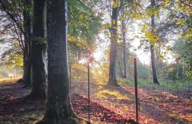 The Cairn at North Lodge, Rural Guest Suite - Foto 48