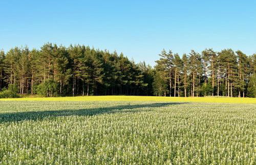 Casa Kashubia - Kaszuby Domek nad jeziorem I cisza natura i luksus - Foto 54