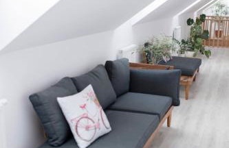 Agroturystyka u Miłosza - Foto 43