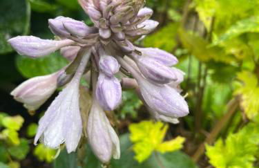 Waldtraum Wandlitzsee - Foto 49