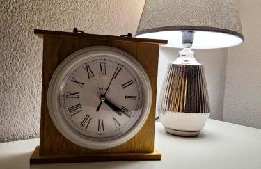 Žunić Apartman - Photo 29