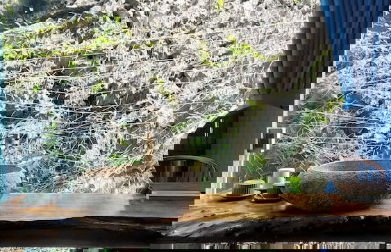 Fairy Mountain Retreat - Foto 75