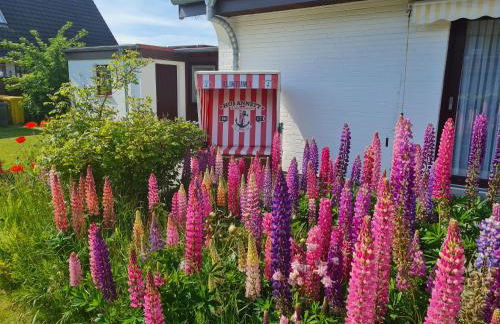 Ulenspegel - Photo 15