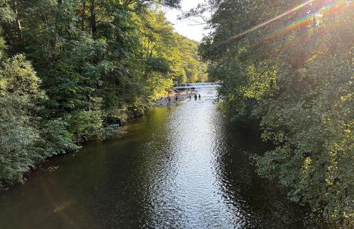 FeWo Burgblick - Foto 16