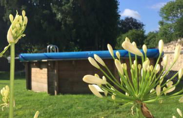 La petite Brainoise - Gîte avec salle jacuzzi 120 jets - Foto 48