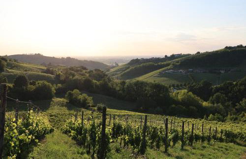 Villa Eleonora Italia - Foto 73