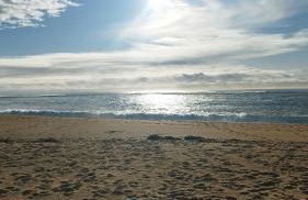 T1 de standing sur le port - Foto 16