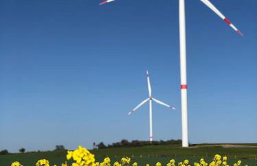 Ferienwohnung Tillmanns - Foto 37