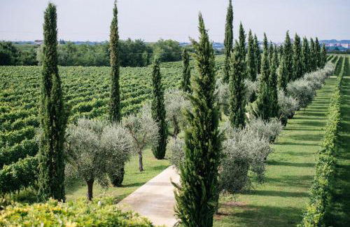 Dimora Buglioni Wine Relais - Foto 55