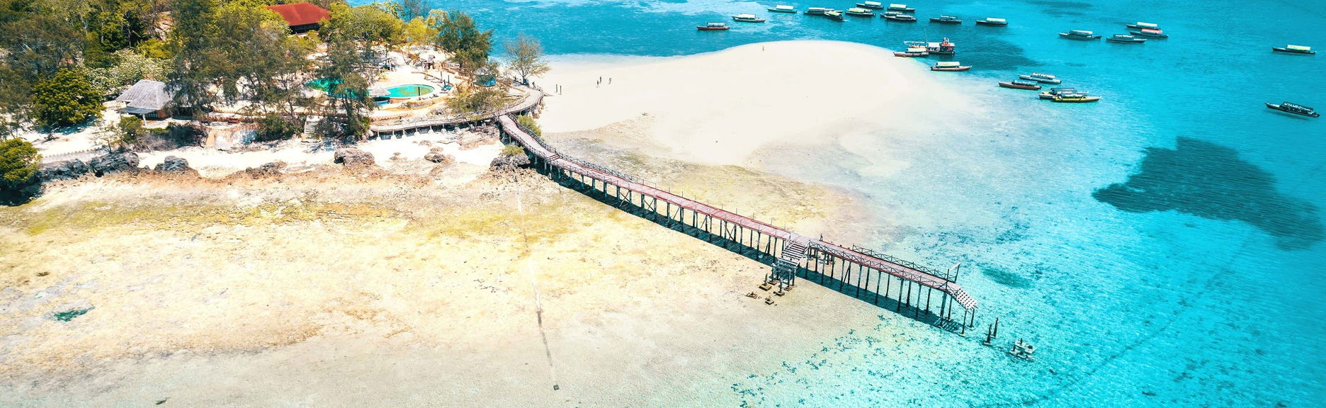 Escursione a Prison Island e alla spiaggia di Nakupenda