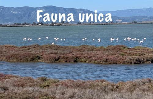 Casa Enric , con zona infantil, piscina y parking privado - Foto 41