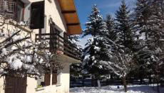 Ancelle le plantier - Foto 4, Garden