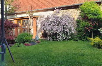 Lux Ferienwohnung altes Landwarenhaus mit Garten und zubuchbarer Sauna - Foto 8