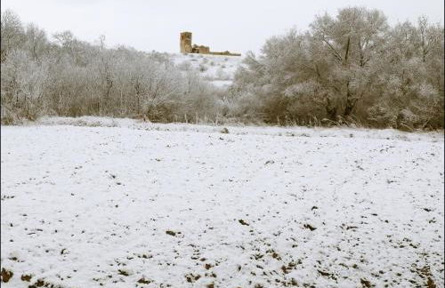 Las Casonas de Chavida - Foto 59