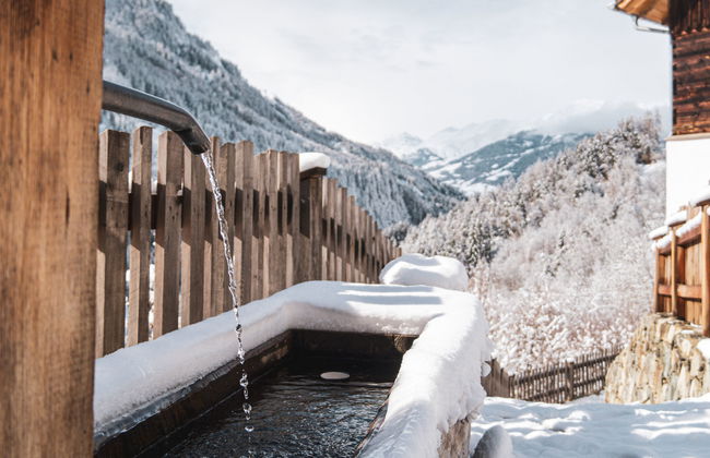 Peppi am Buchhammerhof - Foto 41