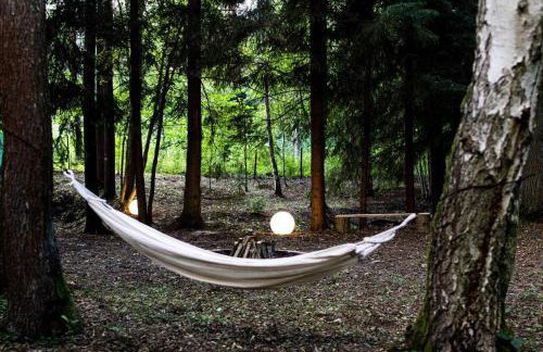 Sosnowy Strumyk - Foto 34