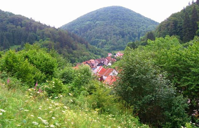 Geraumiges Haus in Zorge - Foto 41