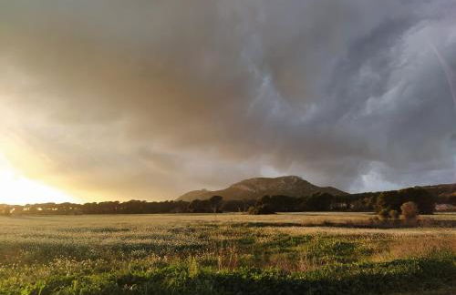 Mas Ramades - Foto 41