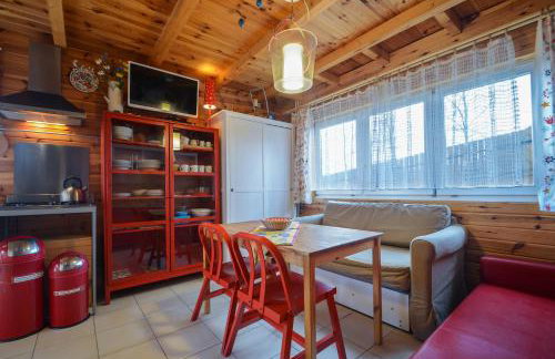 Domki na Polach Piwniczna-Zdrój - Foto 50