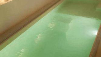 Renovación total post-covid Netflix, Piscina - Photo 2