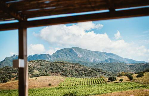 Auberge Santu Martine: Cottage with Pool (Manca) - Foto 71