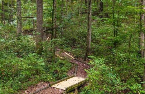 Serenity Escape Treehouse on 14 acres near Little River Canyon - Foto 12