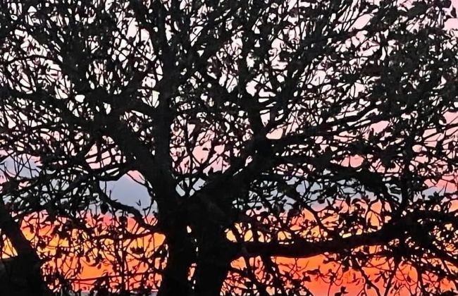 Poachers Hut 1-bed Cottage, Sleeps 2, Pet Friendly - Photo 8