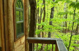 Maine Woods Treehouse-The Birdie - Foto 7