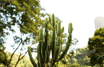 Chalés São João - a 500m da Cachoeira de Bom Jardim - com piscina - Foto 14
