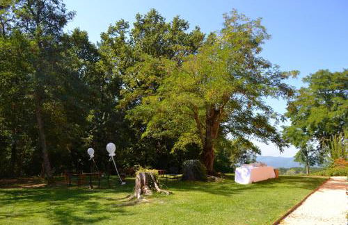 Tenuta Risalpiano - Foto 49