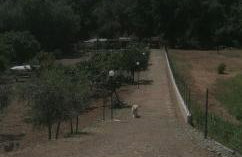 Guest House l'orto di Antonio - Foto 33