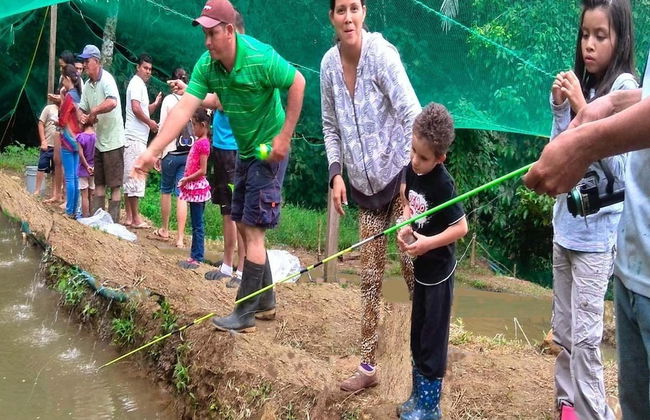 Vanilla Jungle Lodge - Bed & Breakfast - Foto 6