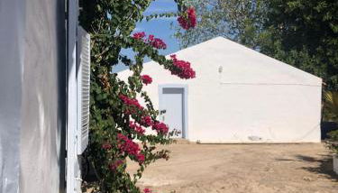 Toca das Manas - Foto 5