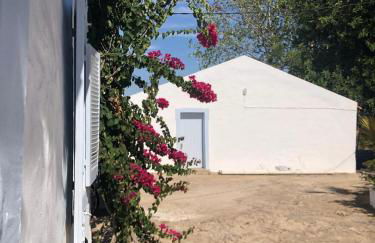 Toca das Manas - Foto 5